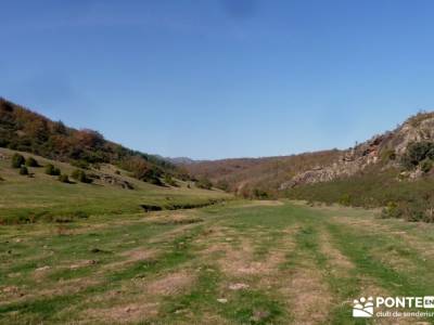 Parque Natural de Tejera Negra - Cantalojas - Guadalajara - Sierra de Ayllón;caminata rápida